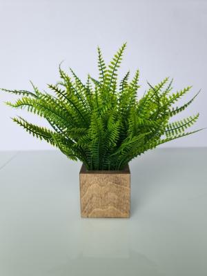Растение искусственное в горшке Папоротник 23х23х28 см 317220020 в интернет гипермаркете «Планета Лета». Фото