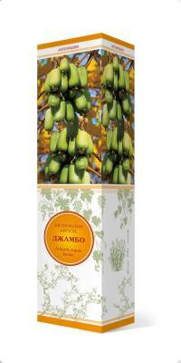 Актинидия аргута Джамбо (жен)/ЦКор П в интернет гипермаркете «Планета Лета». Фото