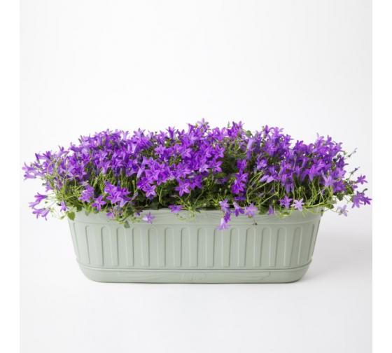 Балконный ящик Etika с прикреп. поддоном 49*18; h15 см оливковый (salvia) 30949 в интернет гипермаркете «Планета Лета». Фото