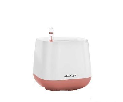 Кашпо   Lechuza Pot Yula Complete (white/pearl rose semi-gloss), 17x17xH15см в интернет гипермаркете «Планета Лета». Фото