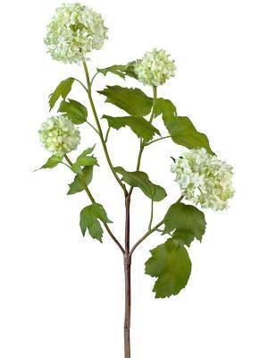 Калина бульдонеж (Вибурнум) (4 соцветия) бело-зеленая 67 см 12/72 30.0610015WHGR в интернет гипермаркете «Планета Лета». Фото