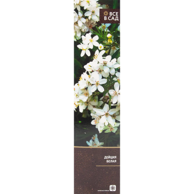 Дейция белая (туба) в интернет гипермаркете «Планета Лета». Фото