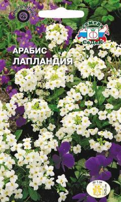 Арабис Лапландия альпийский, белый в интернет гипермаркете «Планета Лета». Фото