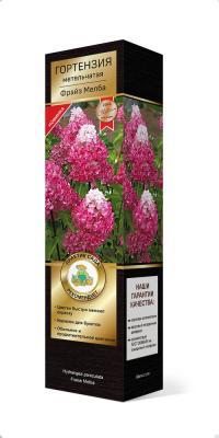 Гортензия метельчатая Фрайз Мелба/ЦКорЛюкс в интернет гипермаркете «Планета Лета». Фото