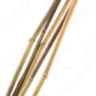 Поддержка GREEN APPLE бамбуковая 180см, ø 0,08/0,1см в интернет гипермаркете «Планета Лета». Фото