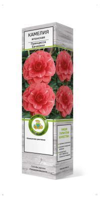 Камелия японская Крамерс Суприм/Цкор П в интернет гипермаркете «Планета Лета». Фото