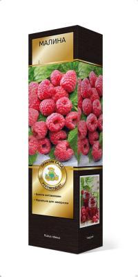Малина ремонтантные сорта Полка/ЦКорЛюкс в интернет гипермаркете «Планета Лета». Фото