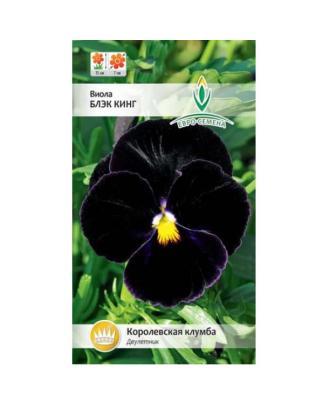 Виола Блэк кинг в интернет гипермаркете «Планета Лета». Фото