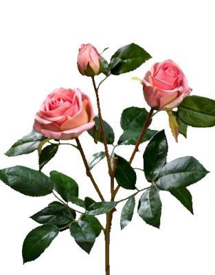 Роза Флорибунда Мидл ветвь нежно-розовая в-36 см 2цв,1бут 12/72 30.0611065LPK в интернет гипермаркете «Планета Лета». Фото