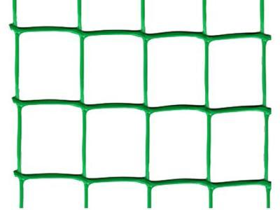 Сетка для томатов 50*60  5 м (Зеленый) Протэкт в интернет гипермаркете «Планета Лета». Фото Сетка для томатов 50*60  5 м (Зеленый) в интернет гипермаркете «Планета Лета». Фото