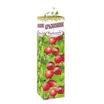 Крыжовник Конфетный/ЦКор в интернет гипермаркете «Планета Лета». Фото