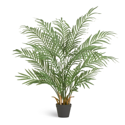 Пальма Арека Форест 110 см (15 веток) в интернет гипермаркете «Планета Лета». Фото