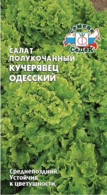 Салат Кучерявец Одесский полукочанный в интернет гипермаркете «Планета Лета». Фото