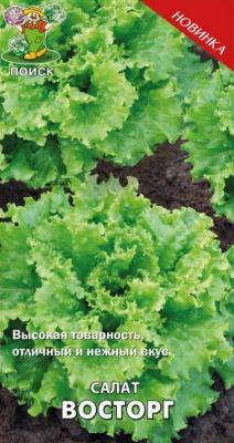 Салат Восторг (А) (ЦВ) 1гр. в интернет гипермаркете «Планета Лета». Фото