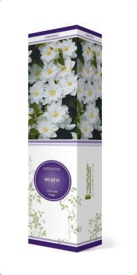 Клематис крупноцветковый Исаго/ЦКор в интернет гипермаркете «Планета Лета». Фото