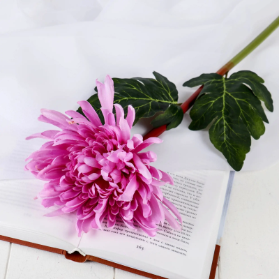 Цветы искусственные "Астра пионовидная" 17х63 см, сиреневый 4642690 в интернет гипермаркете «Планета Лета». Фото