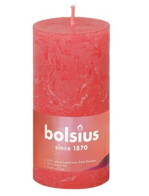 Свеча Болсус Рустик 100*50 SHINE цветущий розовый в интернет гипермаркете «Планета Лета». Фото
