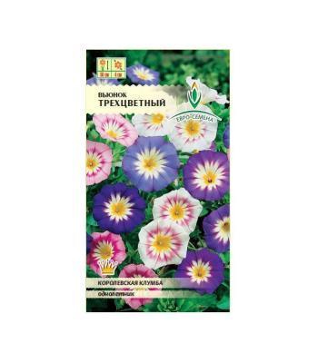 Вьюнок трехцветный в интернет гипермаркете «Планета Лета». Фото