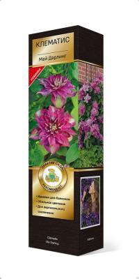 Клематис крупноцветковый Май Дарлинг Люкс (туба) в интернет гипермаркете «Планета Лета». Фото
