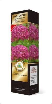 Гортензия древовидная Инвинсибел П в интернет гипермаркете «Планета Лета». Фото