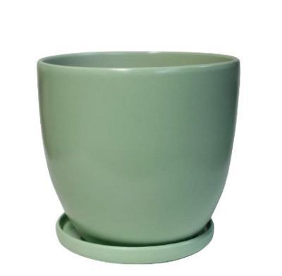Горшок с матовым покрытием с поддоном (керамика), D14xH14 см Светло-зеленый в интернет гипермаркете «Планета Лета». Фото
