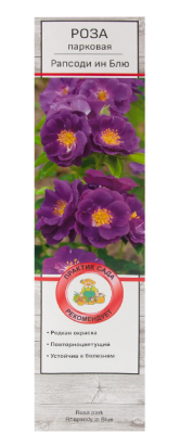 Роза парковая Рапсрди Ин Блю (туба) в интернет гипермаркете «Планета Лета». Фото