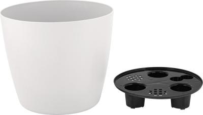 Горшок с дренажной вставкой InGreen Vienna D210мм, 5л, круглый, белоснежный жасмин в интернет гипермаркете «Планета Лета». Фото