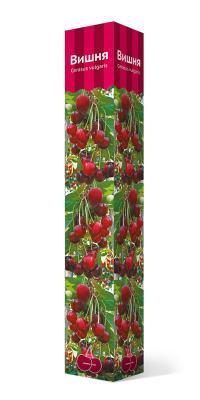 Вишня Чудо-вишня/ЦКорЛюкс в интернет гипермаркете «Планета Лета». Фото