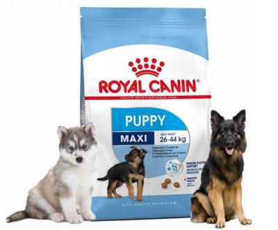 Корм ROYAL CANIN Maxi Puppy 3 кг в интернет гипермаркете «Планета Лета». Фото