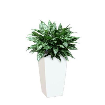 Кашпо Артевази Pisa L33 W33 H60 см белое глянцевое комплект Все-в-одном 818086 в интернет гипермаркете «Планета Лета». Фото