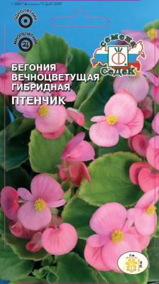 Бегония Птенчик 10 шт в интернет гипермаркете «Планета Лета». Фото