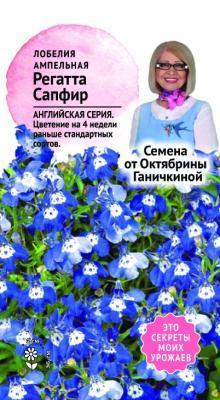 Лобелия ампельная Регатта сапфир 10шт Ганичкина в интернет гипермаркете «Планета Лета». Фото
