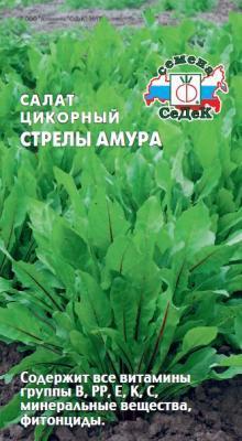 Цикорный салат Стрелы Амура 0,5 гр в интернет гипермаркете «Планета Лета». Фото