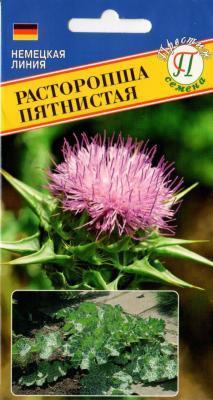 Расторопша пятнистая в интернет гипермаркете «Планета Лета». Фото