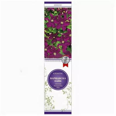 Клематис крупноцветковый Варшавска Найк/ЦКор в интернет гипермаркете «Планета Лета». Фото