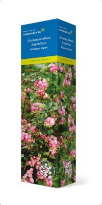 Снежноягодник доренбози Мэджик Бэрри/ЦКор в интернет гипермаркете «Планета Лета». Фото