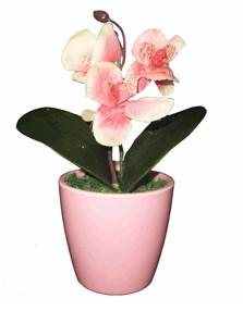 Орхидея в кашпо H-16см HR-26063 в интернет гипермаркете «Планета Лета». Фото