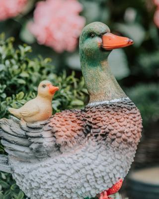 Фигура Селезень с птенцом Н-31 см F821 в интернет гипермаркете «Планета Лета». Фото