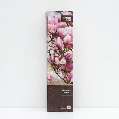 Магнолия суланжа 7Ц (туба) в интернет гипермаркете «Планета Лета». Фото