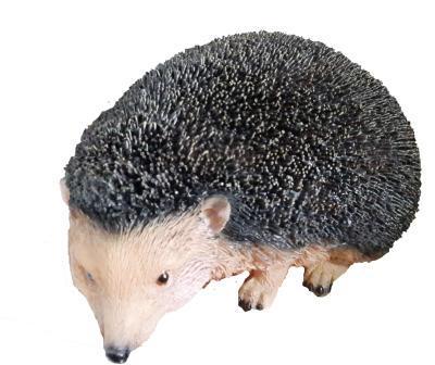 Фигура Еж с натуральными иголками Н-17см,L-25cм ФП521 в интернет гипермаркете «Планета Лета». Фото