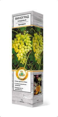 Виноград плодовый Аркадия/ЦКор П в интернет гипермаркете «Планета Лета». Фото
