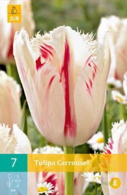 STA Тюльпан Carrousel (x5) в интернет гипермаркете «Планета Лета». Фото