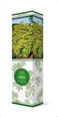 Бузина черная Ауреа/ЦКор в интернет гипермаркете «Планета Лета». Фото