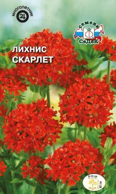 Лихнис Скарлет 0,25 гр в интернет гипермаркете «Планета Лета». Фото