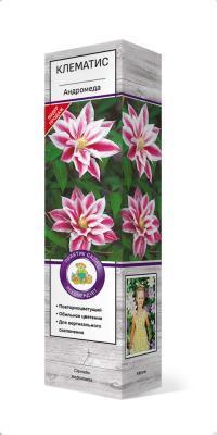 Клематис крупноцветковый Андромеда/ЦКор в интернет гипермаркете «Планета Лета». Фото