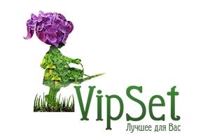VipSet VipSet