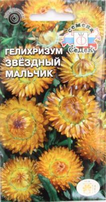 Гелихризум Звездный Мальчик желтый в интернет гипермаркете «Планета Лета». Фото