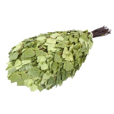 Веник березовый малый БШ 32110 в интернет гипермаркете «Планета Лета». Фото