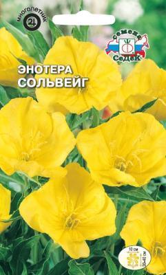 Энотера Сольвейг миссурийская 0,2 гр в интернет гипермаркете «Планета Лета». Фото