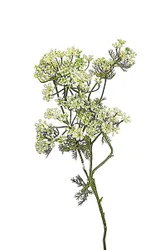 Ветка искусственная Укроп, 61см в интернет гипермаркете «Планета Лета». Фото